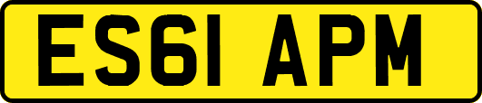 ES61APM