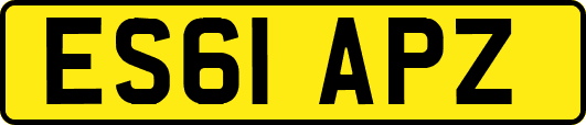 ES61APZ