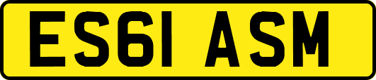 ES61ASM