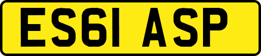 ES61ASP