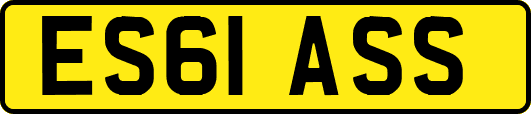 ES61ASS