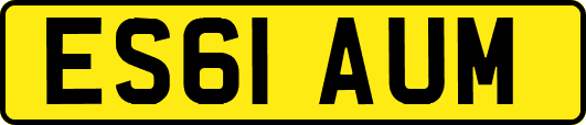 ES61AUM