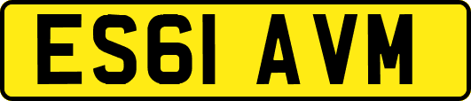 ES61AVM