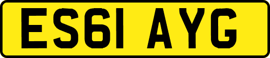 ES61AYG