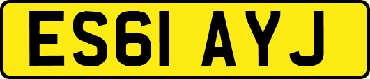 ES61AYJ
