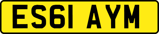 ES61AYM
