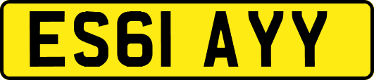 ES61AYY