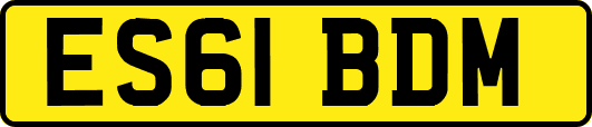 ES61BDM