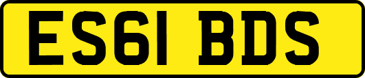ES61BDS