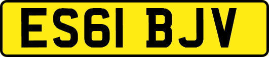 ES61BJV