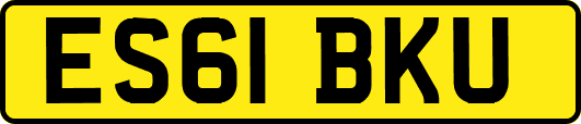 ES61BKU
