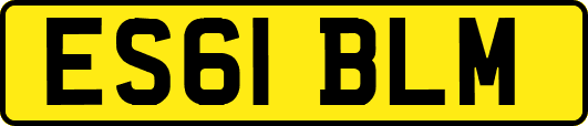 ES61BLM