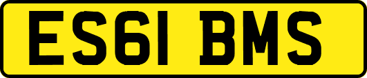 ES61BMS