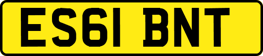 ES61BNT