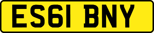 ES61BNY