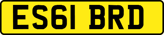 ES61BRD
