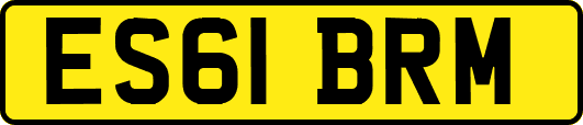 ES61BRM
