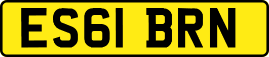 ES61BRN