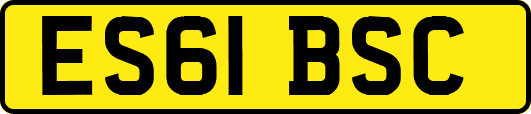ES61BSC