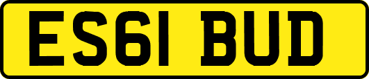 ES61BUD