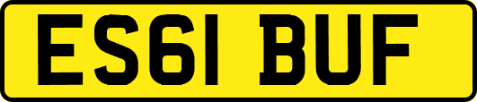 ES61BUF