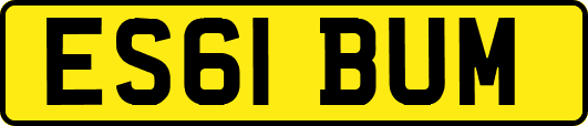 ES61BUM