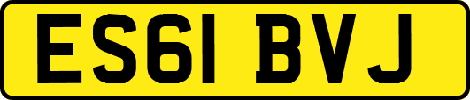 ES61BVJ