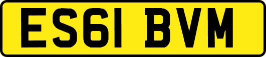 ES61BVM