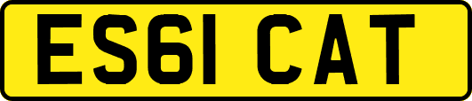 ES61CAT