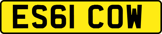ES61COW