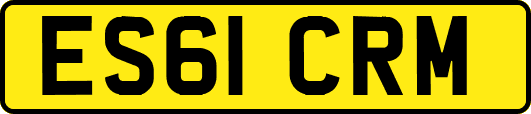 ES61CRM