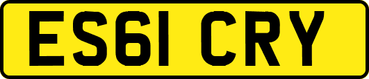 ES61CRY