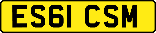 ES61CSM