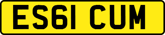ES61CUM