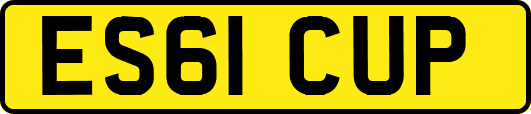 ES61CUP