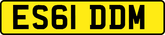 ES61DDM