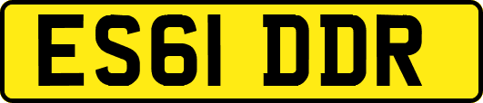 ES61DDR