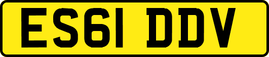 ES61DDV