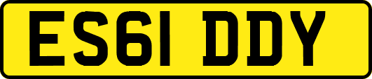 ES61DDY