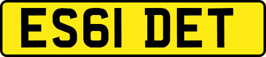 ES61DET