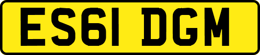 ES61DGM