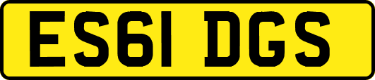 ES61DGS