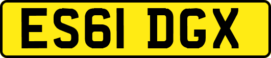 ES61DGX