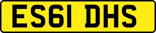 ES61DHS
