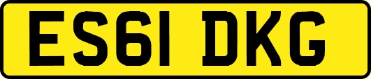 ES61DKG