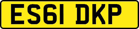 ES61DKP