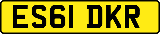 ES61DKR