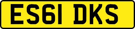 ES61DKS