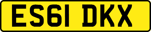 ES61DKX