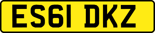 ES61DKZ